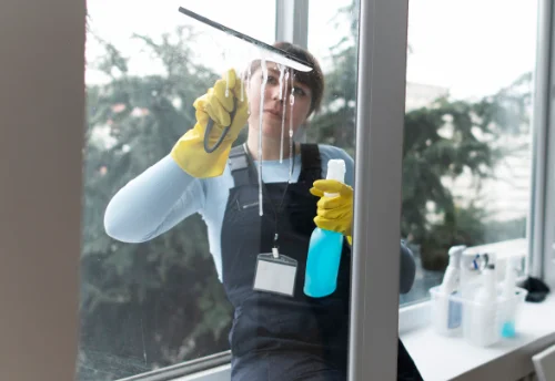Nettoyage de vitres intérieures et extérieures à Saint-Carreuc